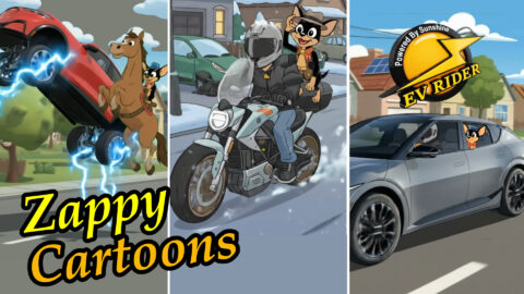 EV Rider & Zappy Cartoons